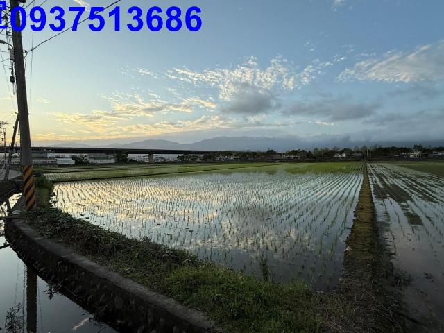 壯圍農地-11