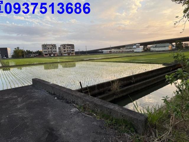 壯圍農地-2