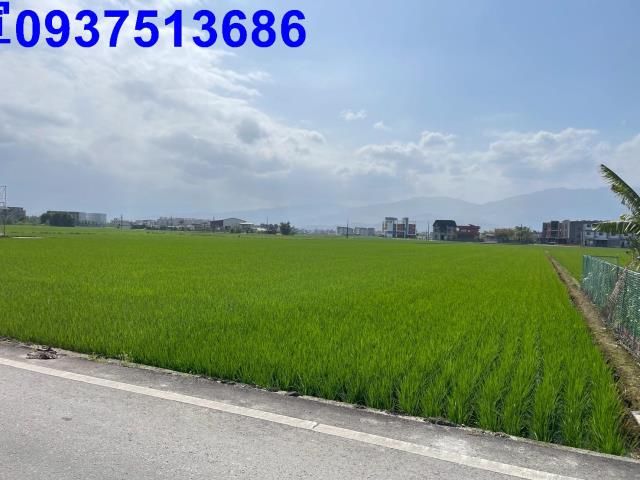 宜蘭農地-8