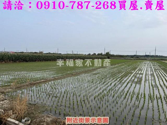 台南佳里農地-5
