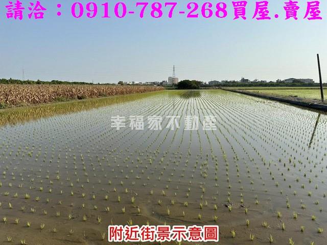 台南麻豆農地-4