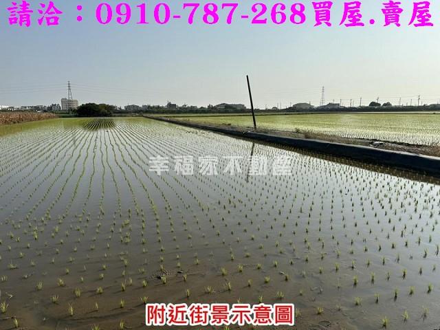 台南麻豆農地-5