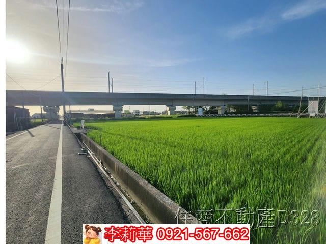 六甲農地-4
