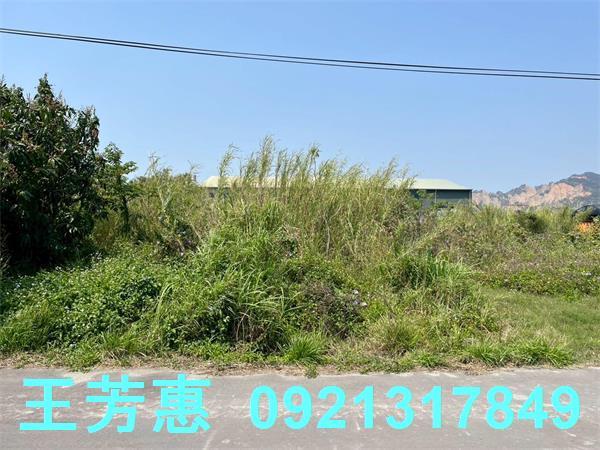 台中后里農地-10