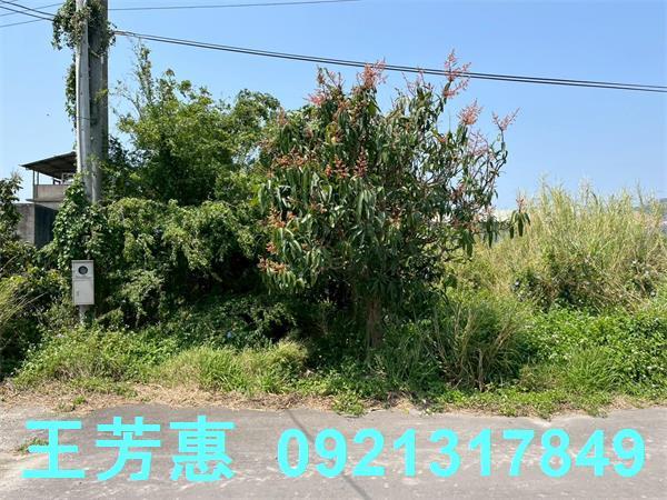 台中后里農地-11