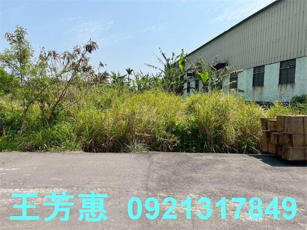 台中后里農地-1