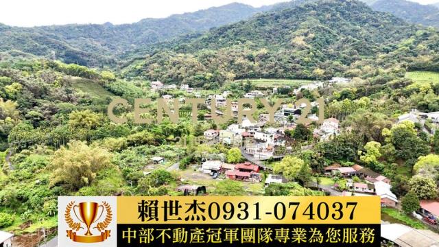 南投農地-2
