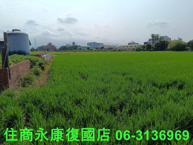 白河農地-10