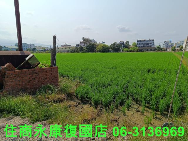 白河農地-8