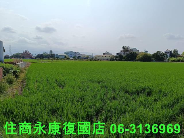 白河農地-9