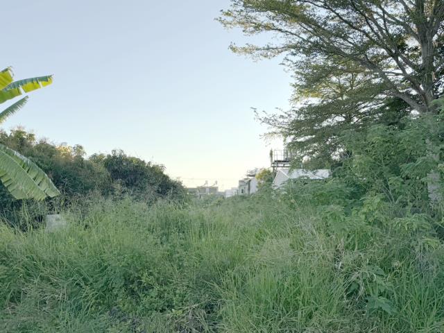 善化工業地-1