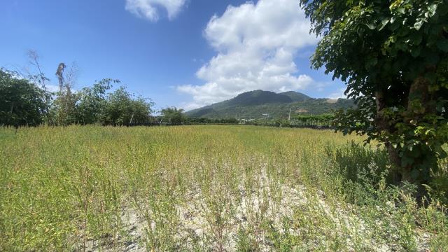 台東太麻里農地-6