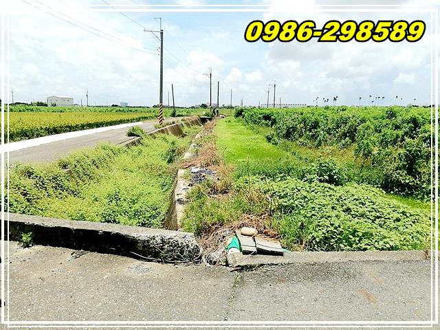 台南佳里農地-8