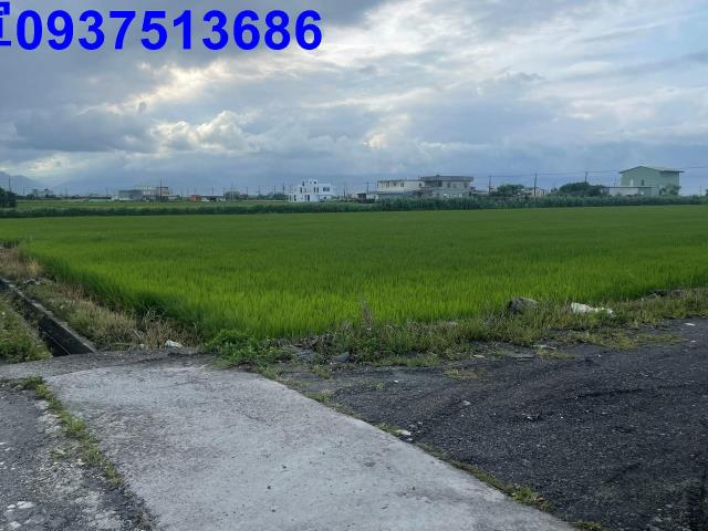 宜蘭壯圍農地-8