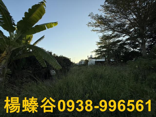 台南善化工業地-4