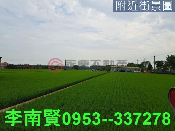 六甲農地-11