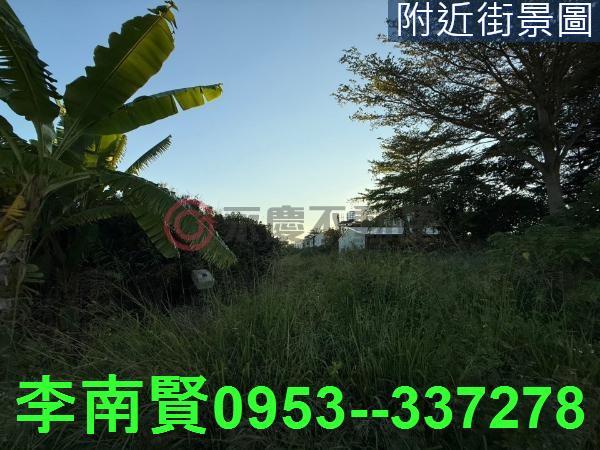 善化工業地-4
