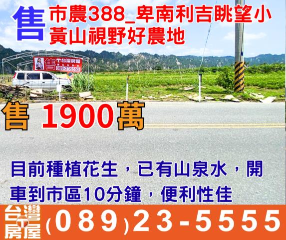 卑南農地-1