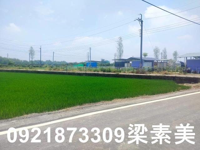 台南農地-5