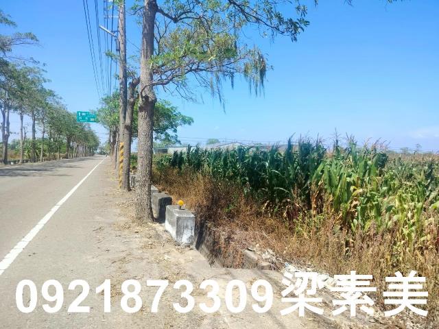 台南農地-10