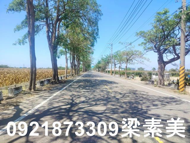 台南農地-3