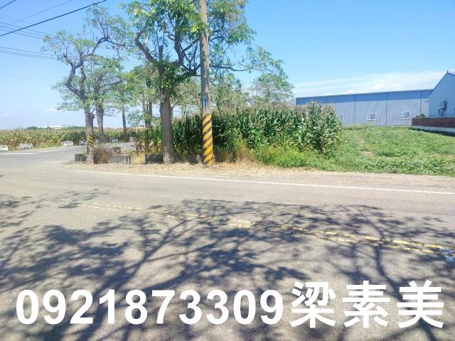 台南農地-4