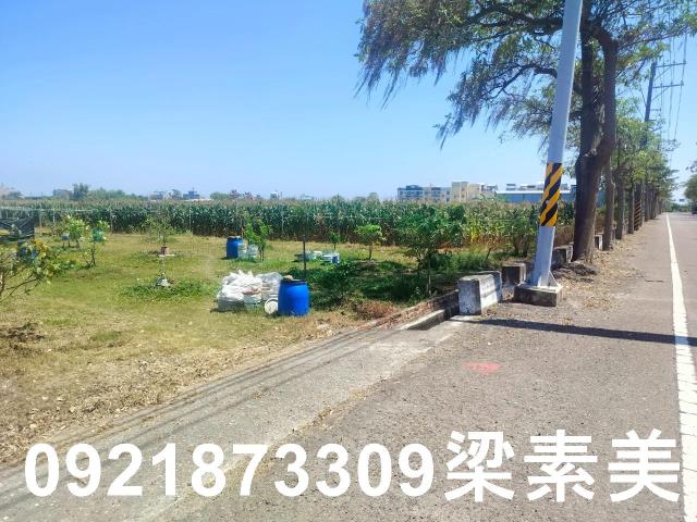 台南農地-8