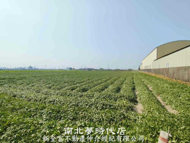 台南新市農地-3