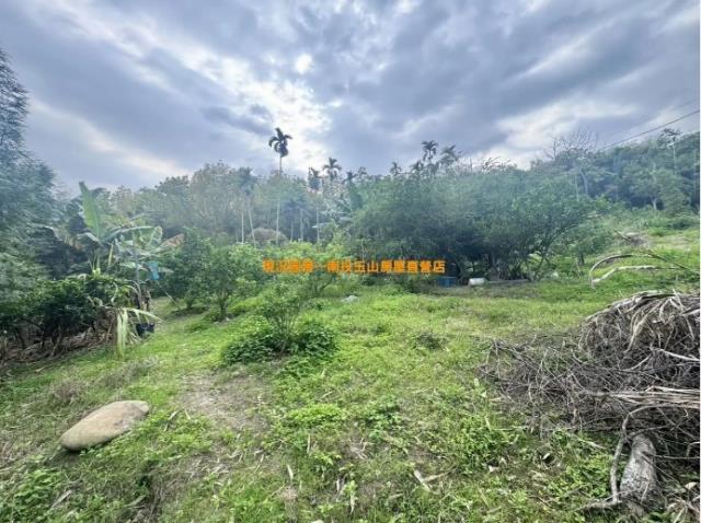 集集山坡地-10