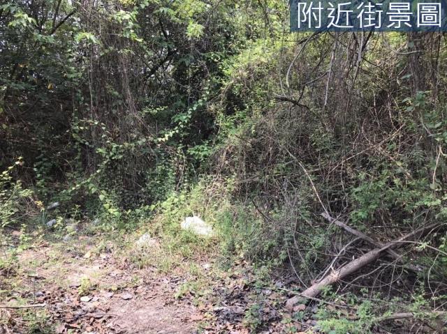 台南農地-3
