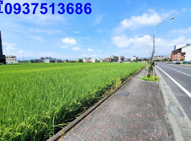 宜蘭宜蘭市農地-10