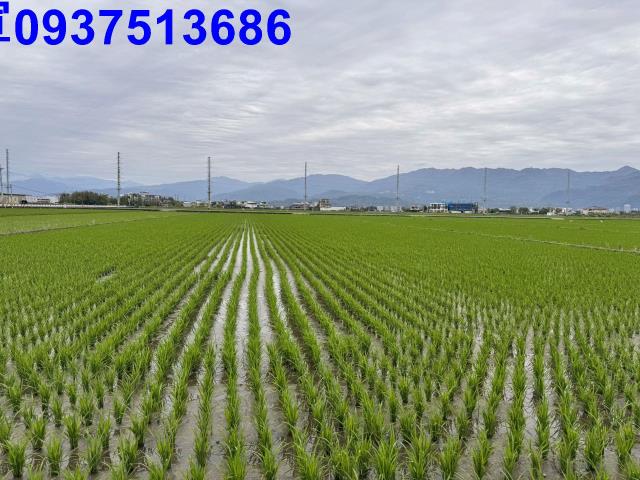 宜蘭壯圍農地-10