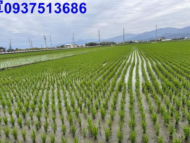 宜蘭壯圍農地-11