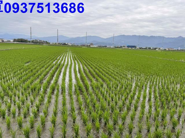 宜蘭壯圍農地-4