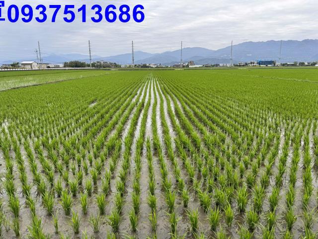 宜蘭壯圍農地-5
