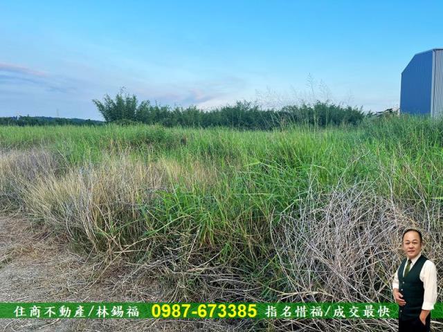 台南農地-11