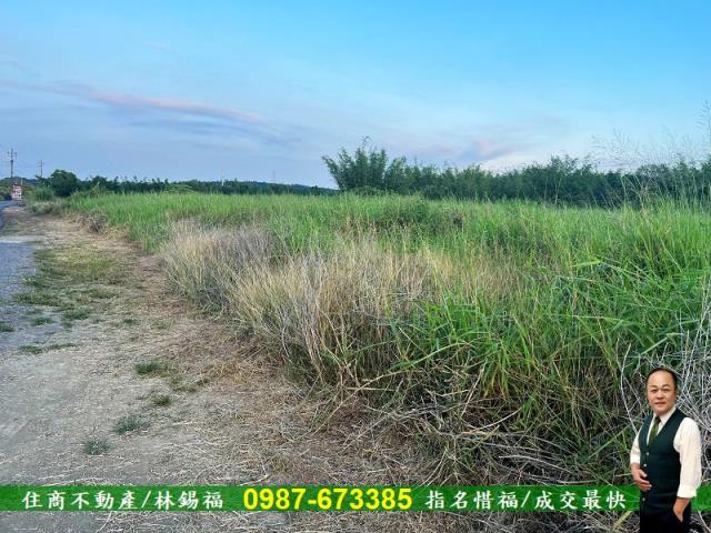 台南農地-12