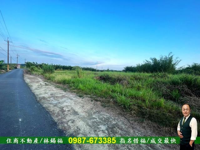 台南農地-5