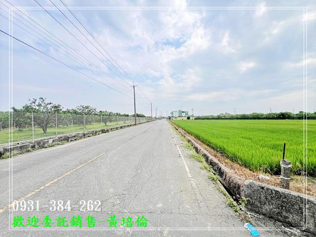 591黃培倫591