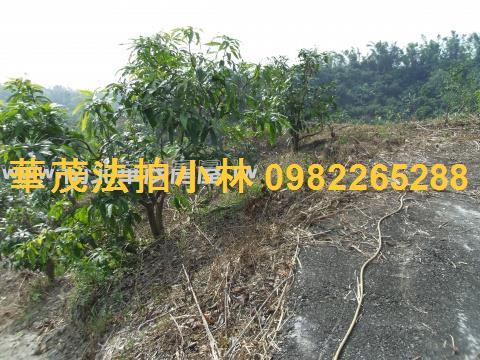 台南左鎮農地-10