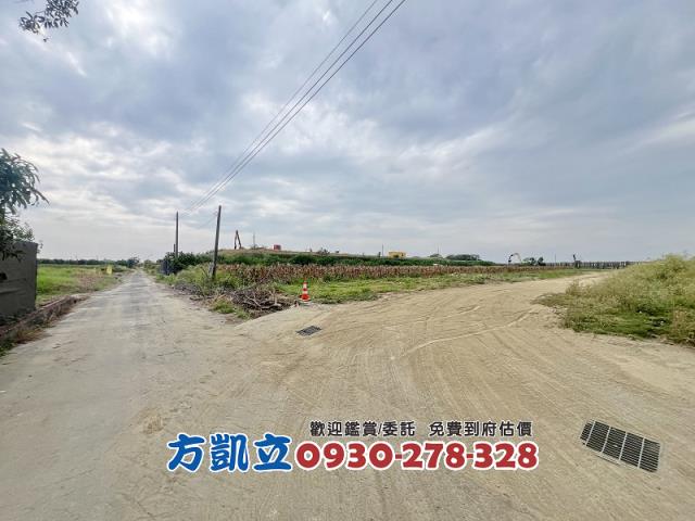 麻豆農地-3