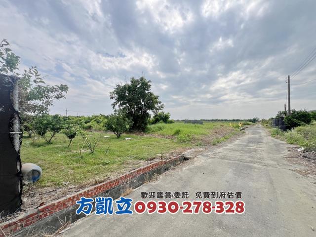 麻豆農地-4