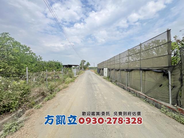 麻豆農地-9