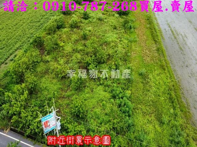 台南農地-11