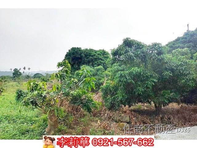 台南農地-10