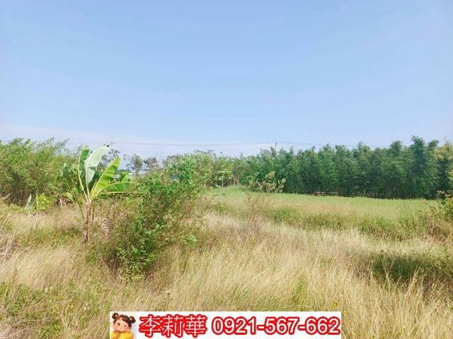 台南歸仁農地-5
