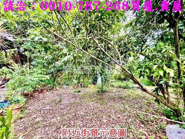 台南大內農地-13