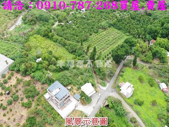 台南大內農地-3