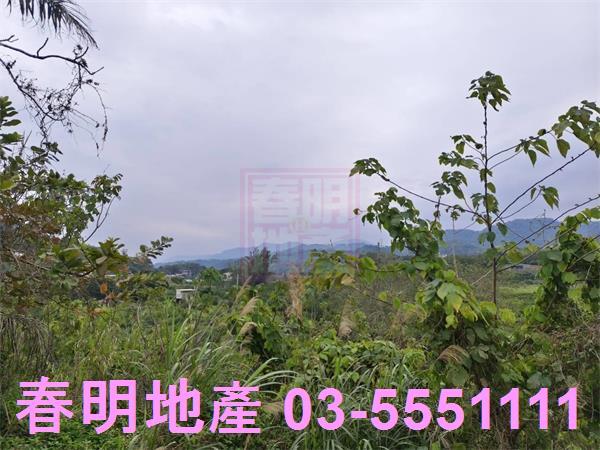 峨眉農地-4