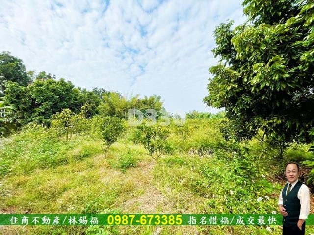 玉井農地-3